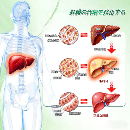 GeeBeon® Glumasetide 8-in-1 スリム＆ヘルシー・ナノマイクロニードルパッチ（1日1回使用 — 最短7日で変化を実感） ✅ 肥満、肌の引き締め、糖尿病、睡眠時無呼吸症候群、関節の悩みなどに。-🎯