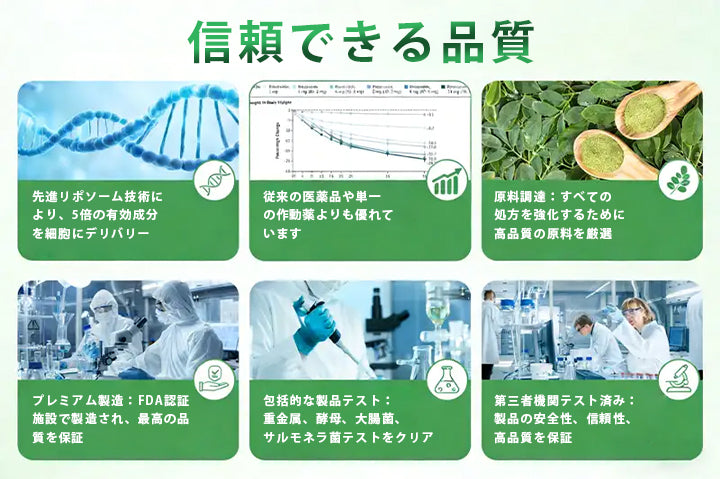 CleraNaure® モリンガ・ベルベリン × NAD+ 10-in-1 高機能ナノマイクロニードルパッチ