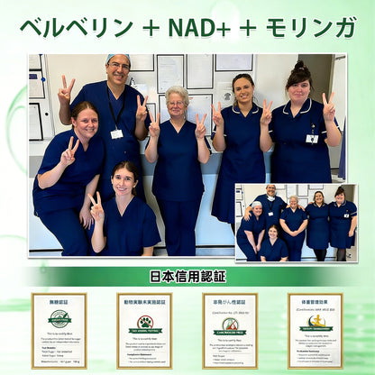 GeeBeon® Glumasetide 8-in-1 スリム＆ヘルシー・ナノマイクロニードルパッチ（1日1回使用 — 最短7日で変化を実感） ✅ 肥満、肌の引き締め、糖尿病、睡眠時無呼吸症候群、関節の悩みなどに。-🎯